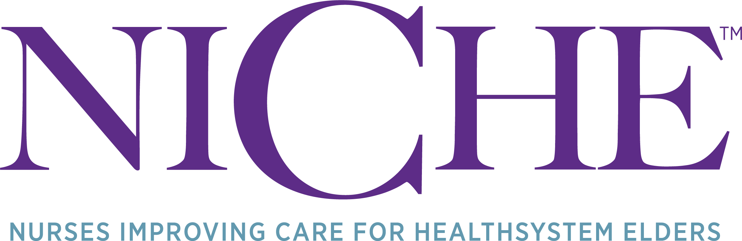 Nurses improving care for healthsystem elders logo